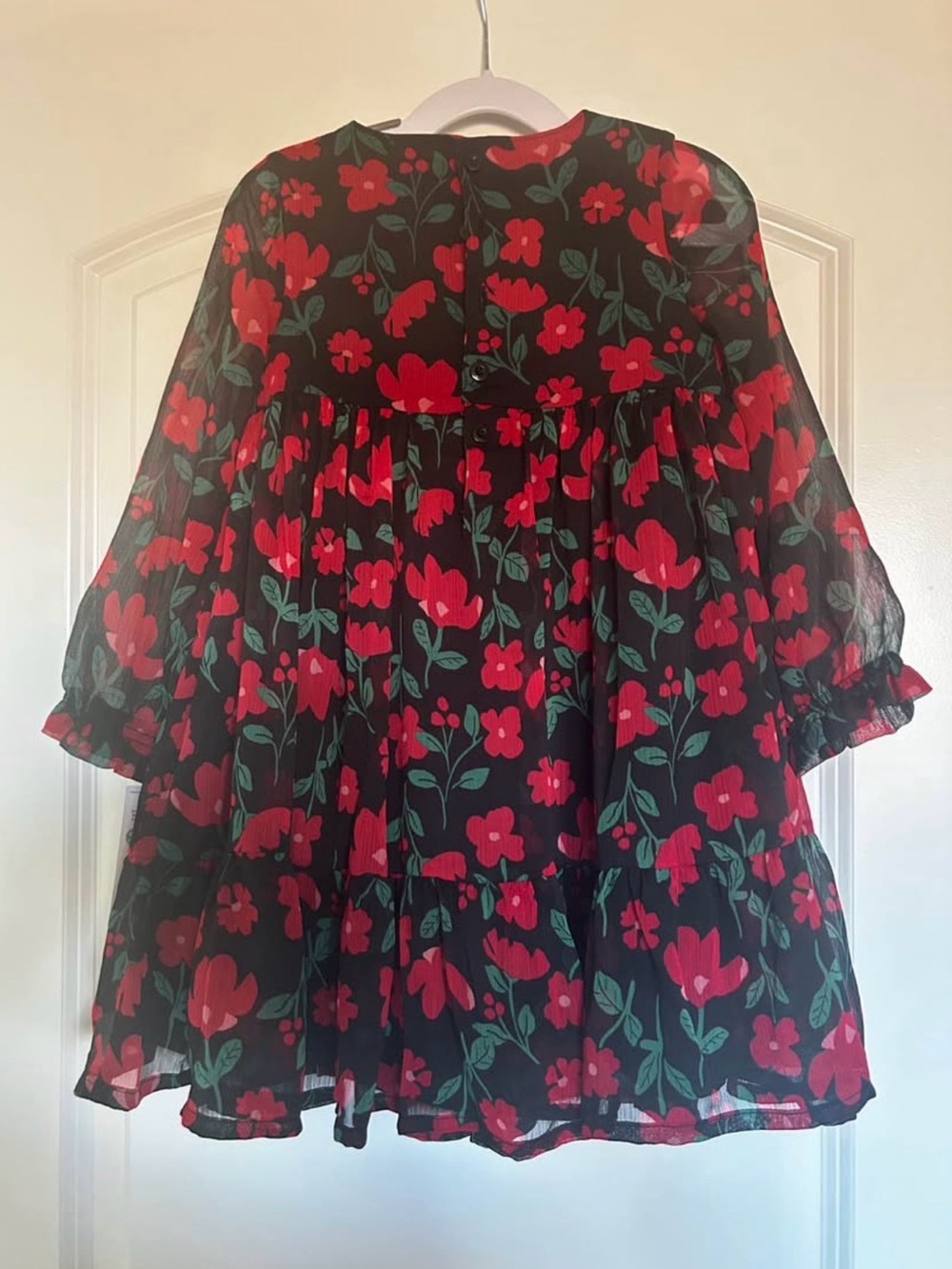 Carter's Black Dress with Red Floral Print and Green Leaves - Picture 4 of 4